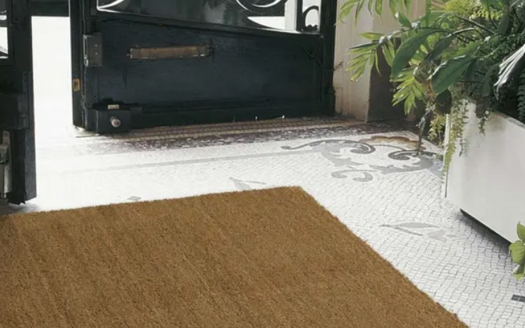 tapis brosse copropriétaire